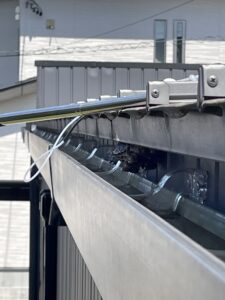 樋に作られたアシナガバチの巣