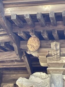 【現場レポ】神社に出来たスズメバチの巣