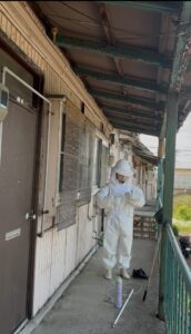 今年もスズメバチたちが活動を始める季節になりました。気温が上がるにつれ、スズメバチの活動は本格化します。長岡市内でも毎年多くの駆除依頼をいただいており、特に春から初夏にかけての早期発見・早期対処が非常に重要です。